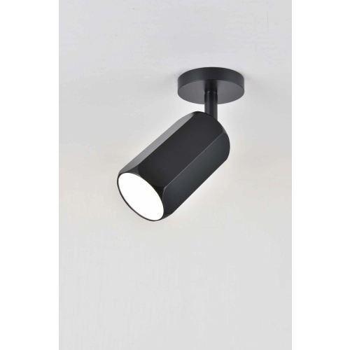 Spot Sirius RT593 BK - Фото № 1