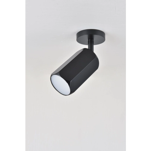 Spot Sirius RT593 BK - Фото № 2