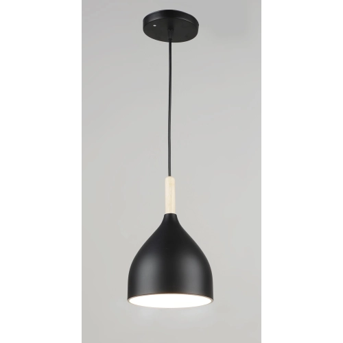 Люстра подвесная Sirius B N5656/1H BK
