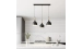 Hanging chandelier Sirius B N5656/3H BK - Фото №1