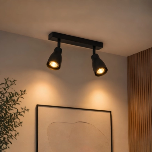 Spot VALESO INN-23043BK black with 2 shades
