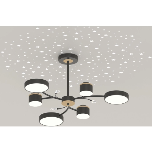 Chandelier LED VALESO XI3346-6 black + gold, 3000-6000K - Фото № 3