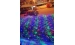 LED Garland Net 2x2m 144 LEDs  Decorative VALESO - Фото № 3