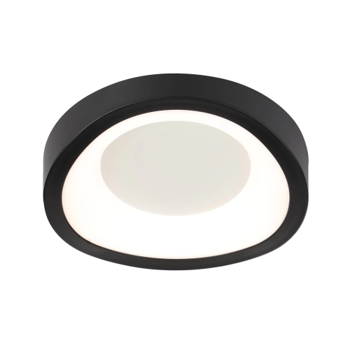 Светильник потолочный светодиодный VALESO 2941/1, LED 24W, Черный - Фото № 2