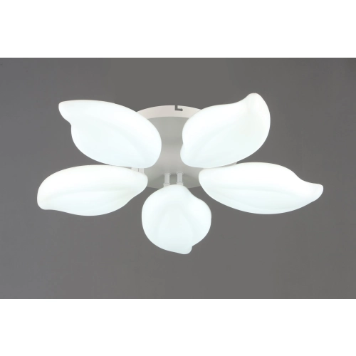 LED Ceiling Chandelier VALESO 5-Bulb 60W White Steel Acrylic 3000K+6500K YH1408/5