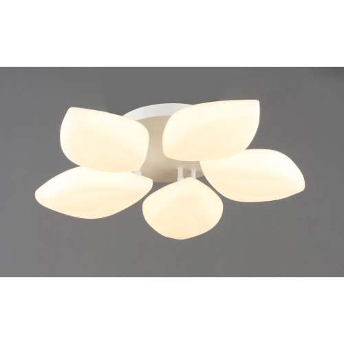 LED Ceiling Chandelier VALESO 5-Bulb 60W White Steel Acrylic 3000K+6500K YH1411/5