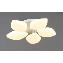 LED Ceiling Chandelier VALESO 5-Bulb 60W White Steel Acrylic 3000K+6500K YH1411/5