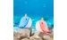 Silicone LED Touch Night Light Whale VALESO A044 for Bedroom Rechargeable Blue - Фото № 1
