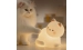 Silicone LED Touch Night Light White Kitten VALESO A068 for Bedroom Soft Toy Light - Фото № 1